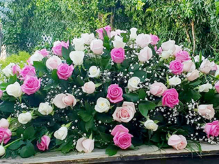 _all-pink-rose-casket-spray-$400.00