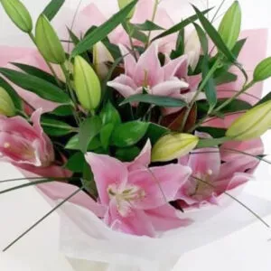 Pink Lillies