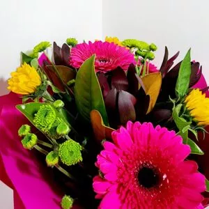 bright and bold flowers