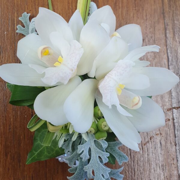 white orchids