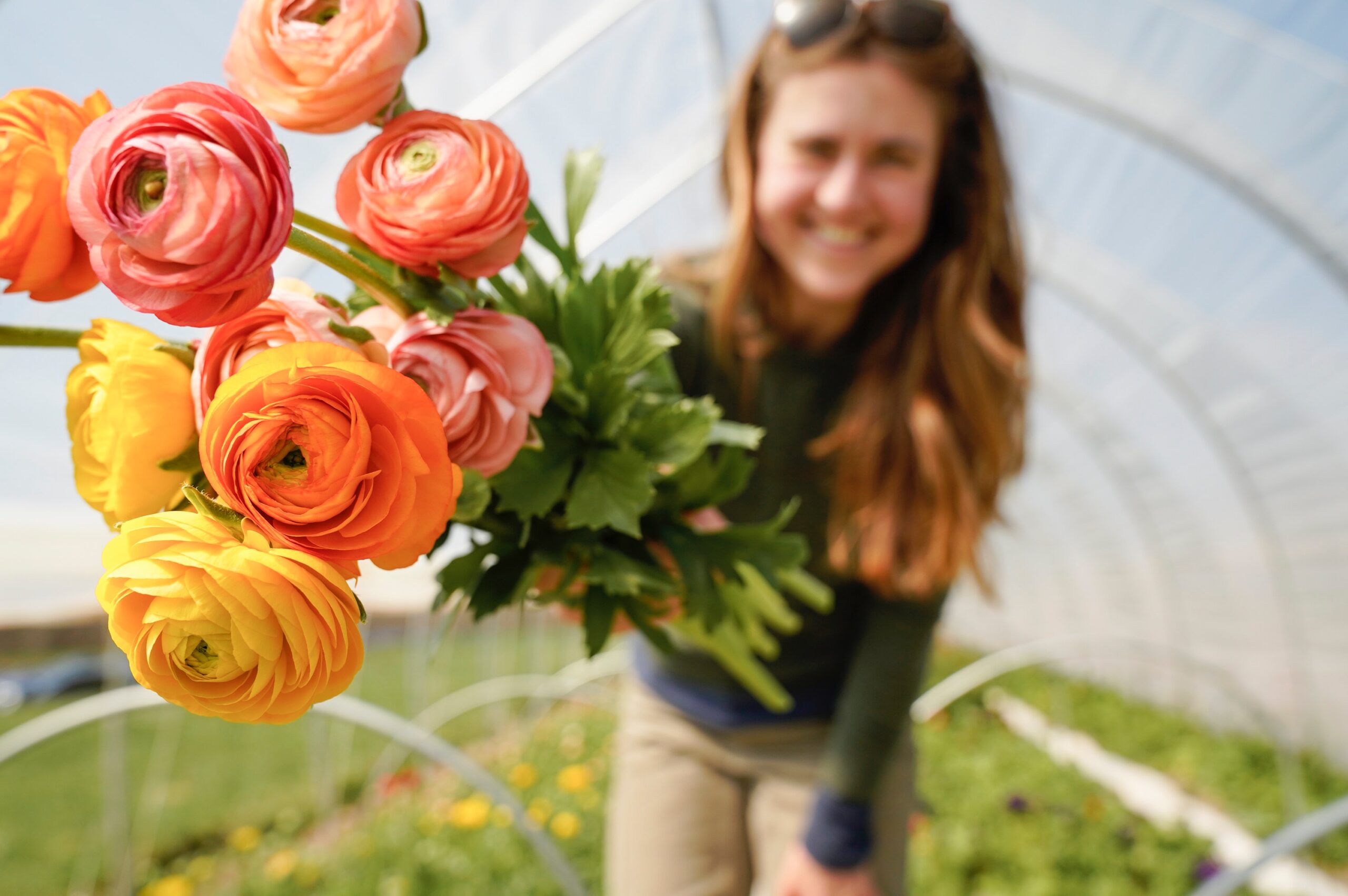 A timeline of gifting flowers | Victoria Florists Christchurch