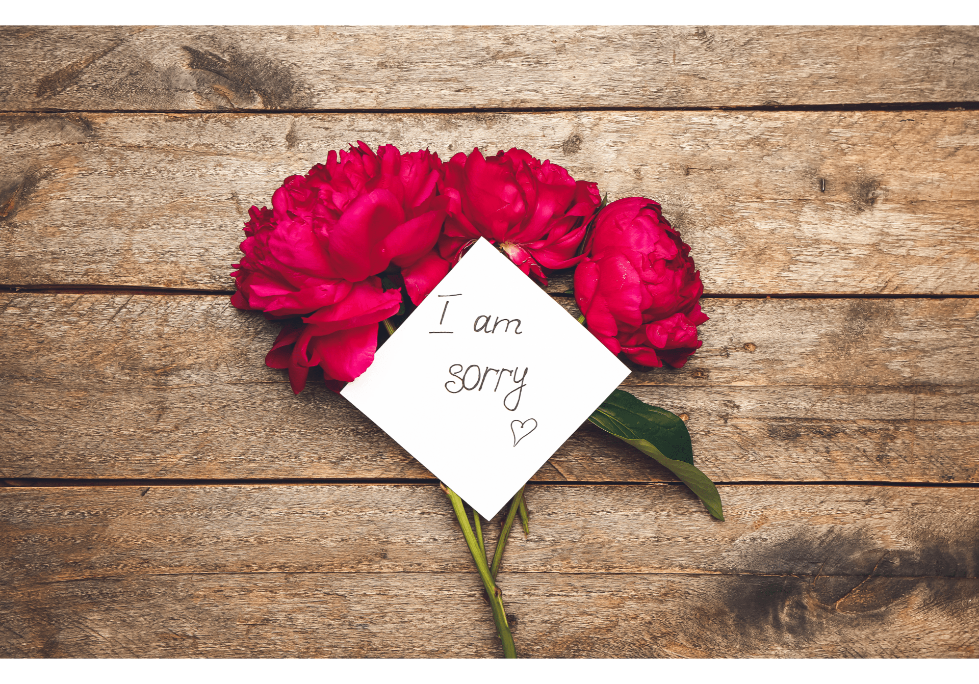 The meaning behind apology flowers Victoria Florists Christchurch