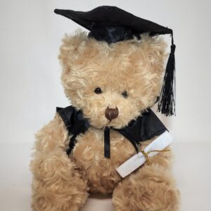 Brainy box bear -Graduation Bear