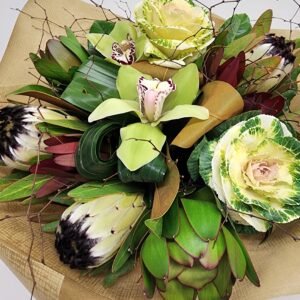 Protea delight