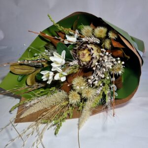 Hazel - Dried and Artificial Flowers