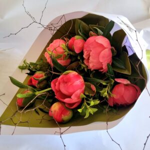 Elegant Peonies