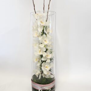 Pure and simple -orchid
