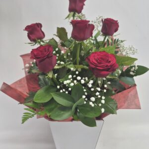 Tui - 6 short red roses